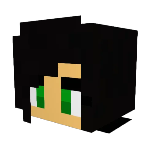Buggys4Cakes Minecraft avatar head, 3D render