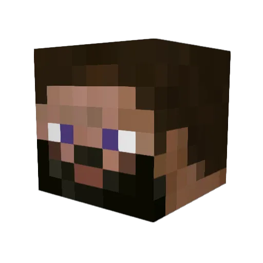 Bughound Minecraft avatar head, 3D render