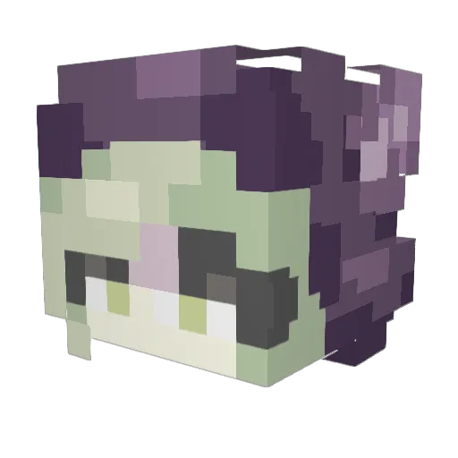 Bugkid_ Minecraft avatar head, 3D render