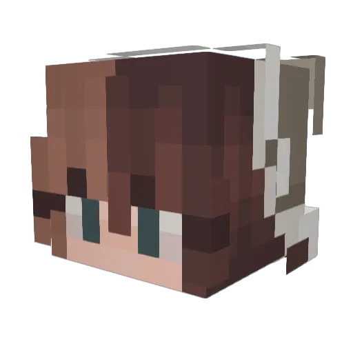Bugmeal Minecraft avatar head, 3D render