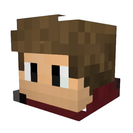 Bugs_ahoy Minecraft avatar head, 3D render