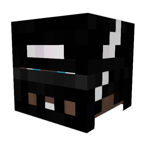Bugsy114 Minecraft avatar head, 3D render