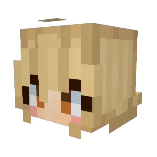 Bugsy6067 Minecraft avatar head, 3D render
