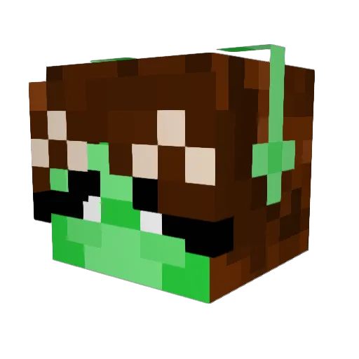 BugtheCr3ature Minecraft avatar head, 3D render