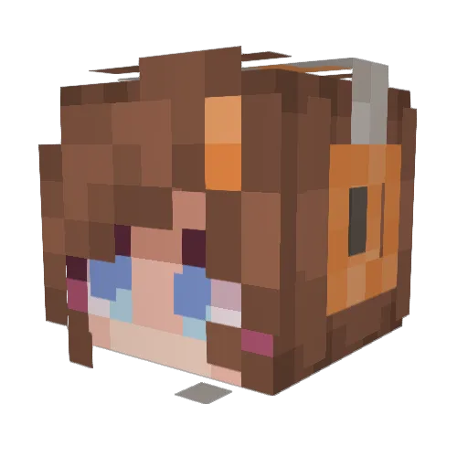 Bugz4Brainz1 Minecraft avatar head, 3D render