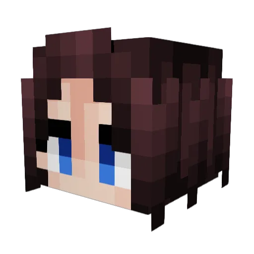 Buhonardo Minecraft avatar head, 3D render
