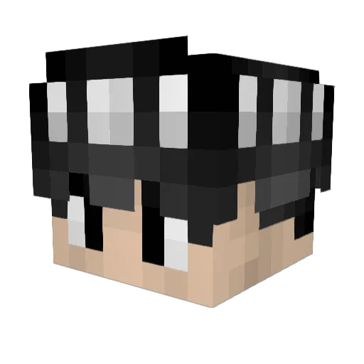 Buhs Minecraft avatar head, 3D render