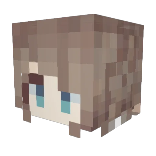 Builder1111 Minecraft avatar head, 3D render