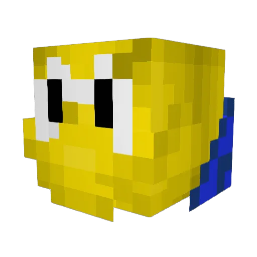 BuilderMaster13 Minecraft avatar head, 3D render