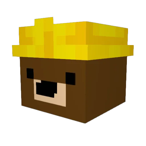 Builder_007 Minecraft avatar head, 3D render