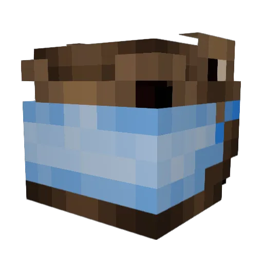 Builder_Blixt Minecraft avatar head, 3D render