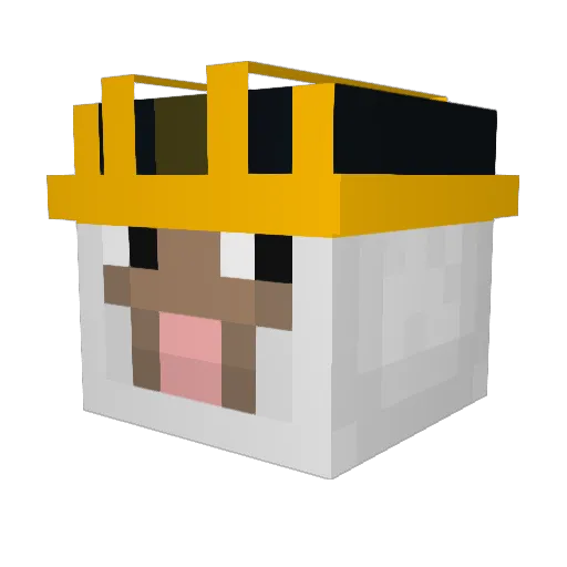Builder_KC Minecraft avatar head, 3D render