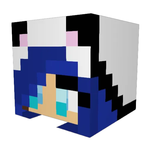 Buildersmc Minecraft avatar head, 3D render