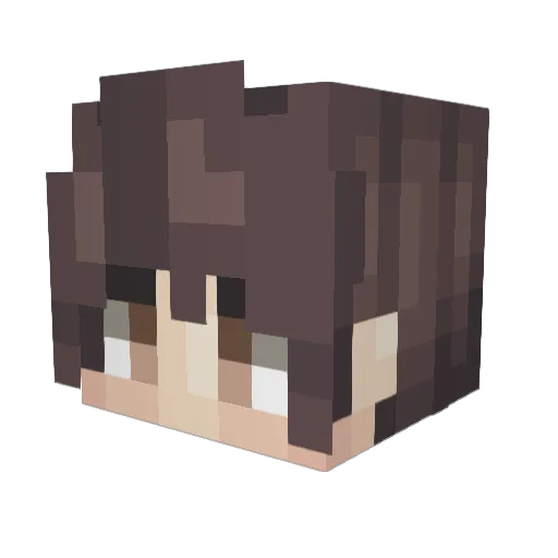 Buitenspelen Minecraft avatar head, 3D render