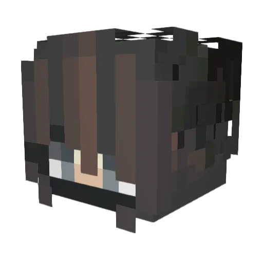 BukaKot Minecraft avatar head, 3D render