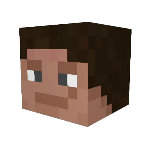 Bulbaking567 Minecraft avatar head, 3D render