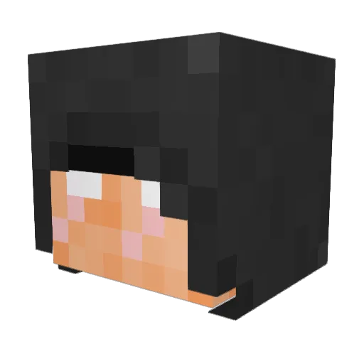 Buldo_Zer Minecraft avatar head, 3D render