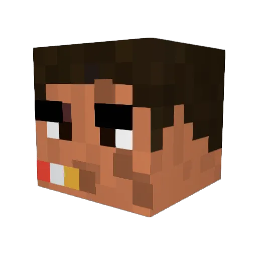 BulkyDuckling3 Minecraft avatar head, 3D render