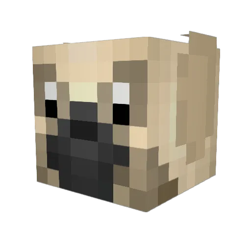 Bulldog111 Minecraft avatar head, 3D render