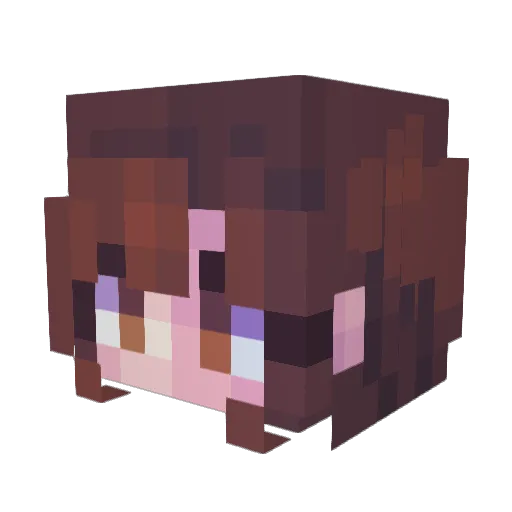Bulldogpants Minecraft avatar head, 3D render