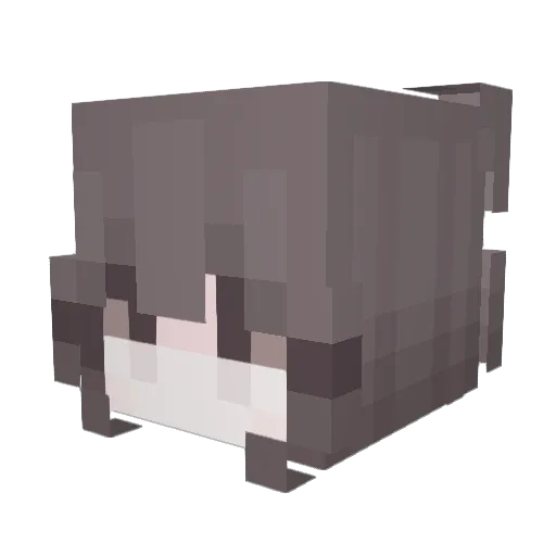 Bullet969 Minecraft avatar head, 3D render