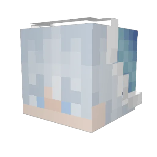 BullitKing41 Minecraft avatar head, 3D render