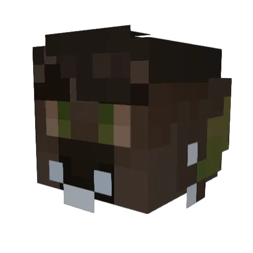 BullofBeans Minecraft avatar head, 3D render
