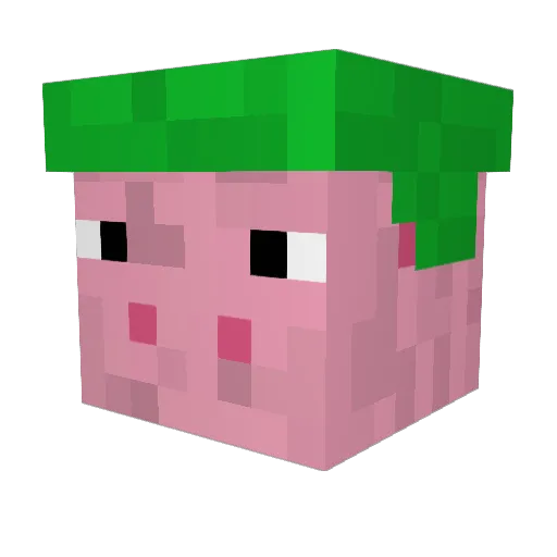 Bullwyr Minecraft avatar head, 3D render