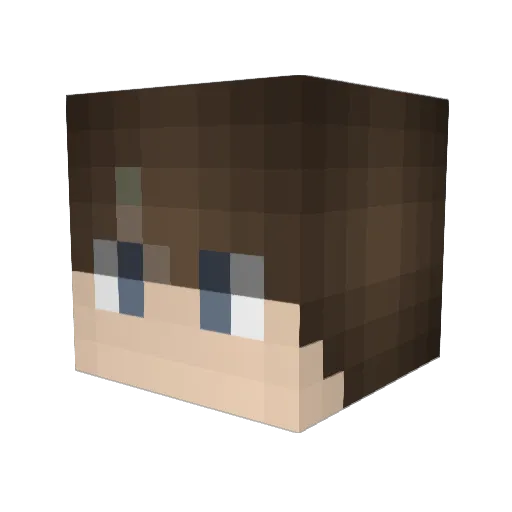 BullyHunter451 Minecraft avatar head, 3D render