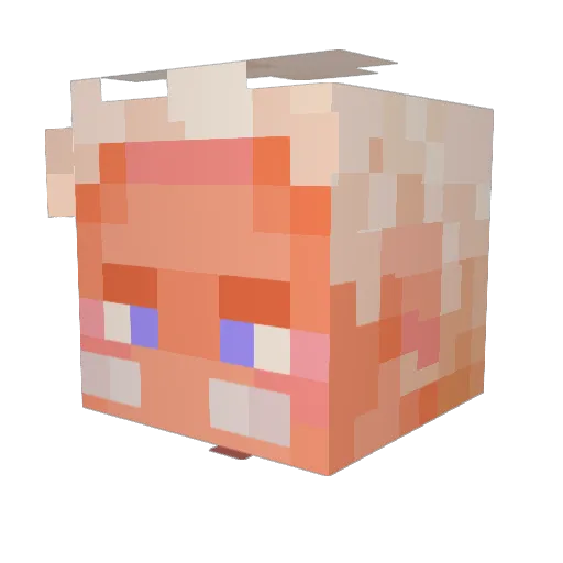 Bully_P Minecraft avatar head, 3D render