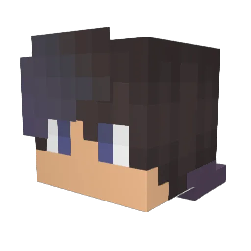 Bulugawhale Minecraft avatar head, 3D render
