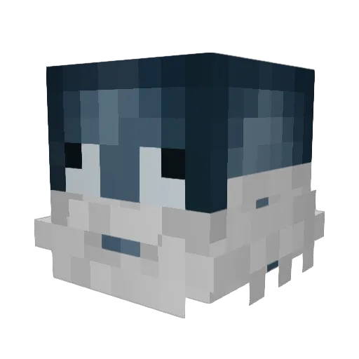 BumBanZ Minecraft avatar head, 3D render
