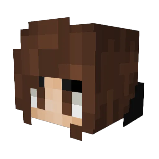 Bumbirock Minecraft avatar head, 3D render