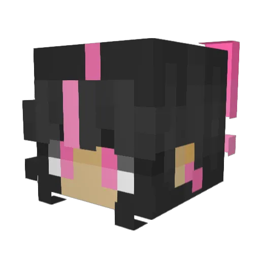 BumbleBee04_ Minecraft avatar head, 3D render