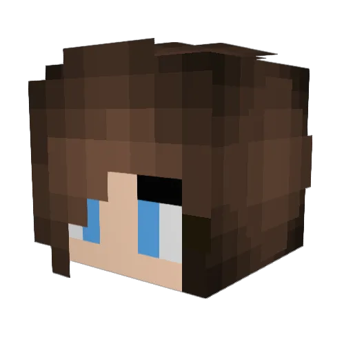 BumbleBee1512 Minecraft avatar head, 3D render