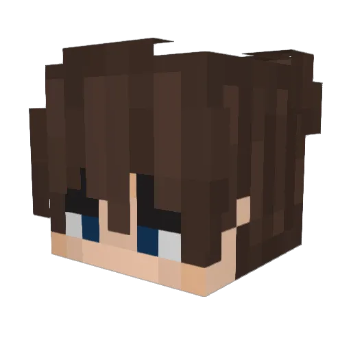 BumbleBee231813 Minecraft avatar head, 3D render