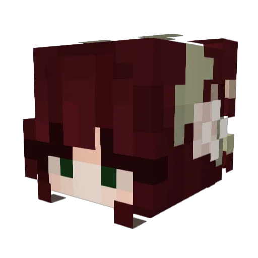 BumbleBee870 Minecraft avatar head, 3D render