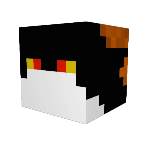 BumbleBee9 Minecraft avatar head, 3D render