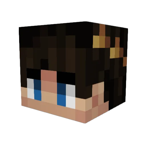 BumbleBeeBoyer Minecraft avatar head, 3D render