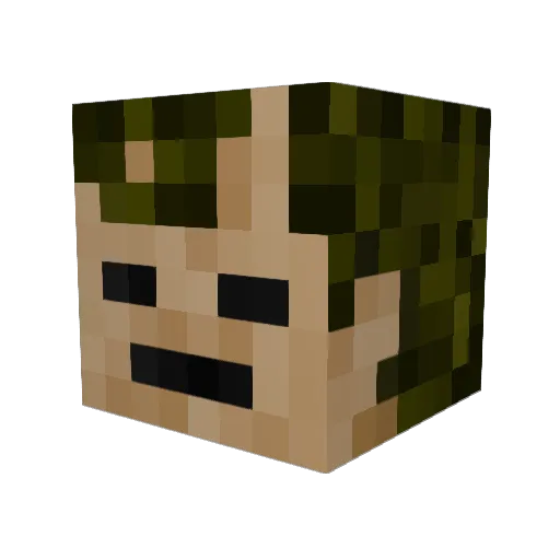 BumbleBeeLee Minecraft avatar head, 3D render