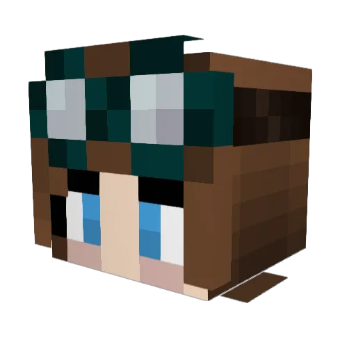 Bumble_Bean Minecraft avatar head, 3D render