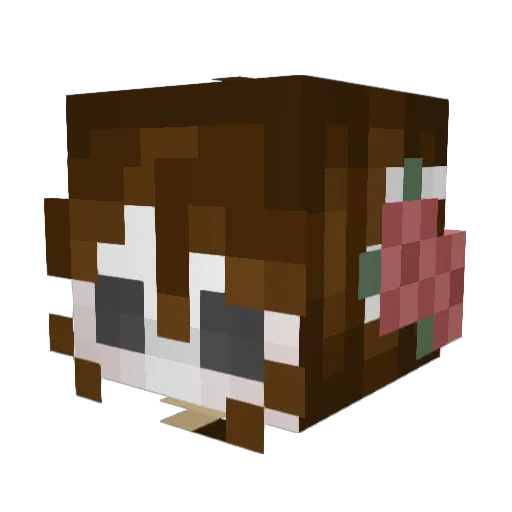 Bumble_Bones Minecraft avatar head, 3D render