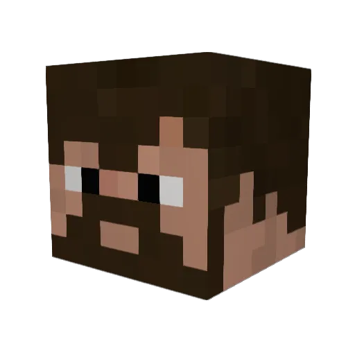 Bumblebeanz Minecraft avatar head, 3D render
