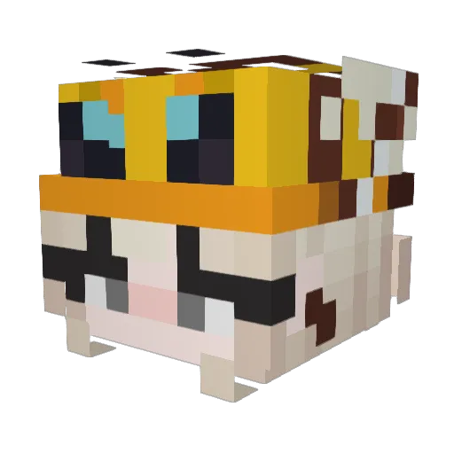 Bumblebeap Minecraft avatar head, 3D render
