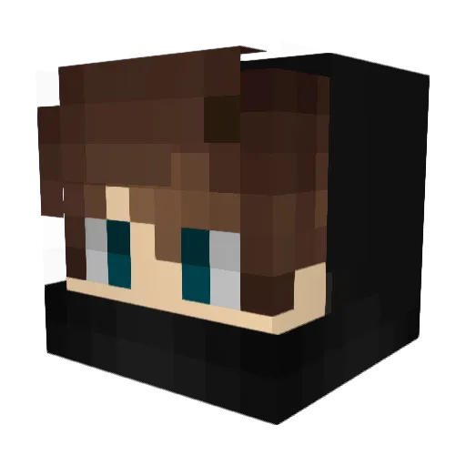 Bumblebee38 Minecraft avatar head, 3D render