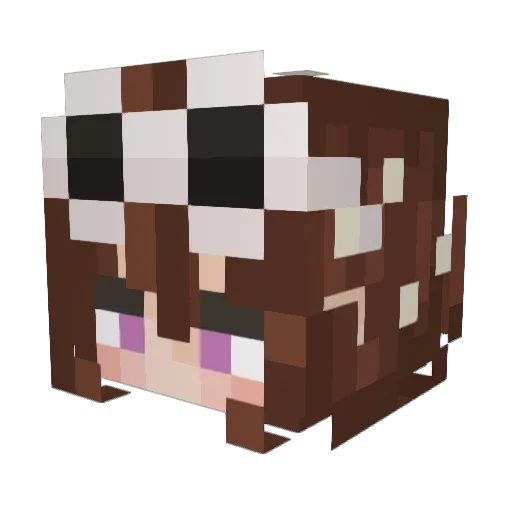 Bumblebee4804 Minecraft avatar head, 3D render