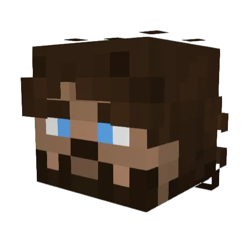 Bumblebee66117 Minecraft avatar head, 3D render