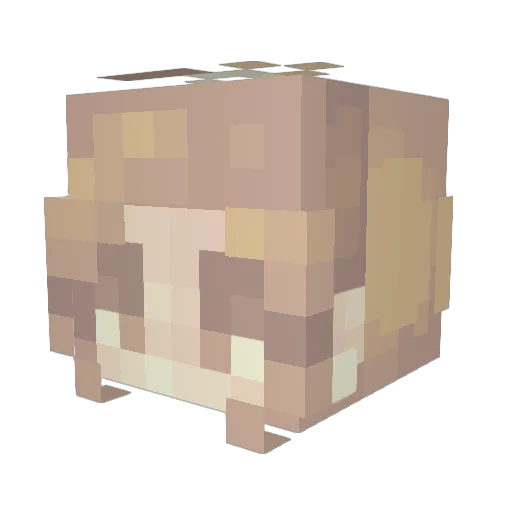 BumblebeeBakugo Minecraft avatar head, 3D render