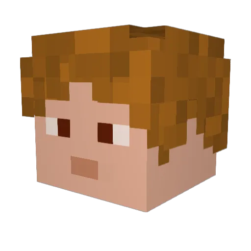 Bumblejif Minecraft avatar head, 3D render