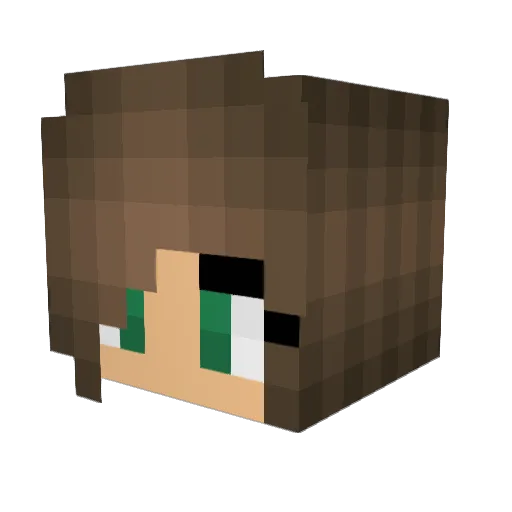Bumblelis Minecraft avatar head, 3D render